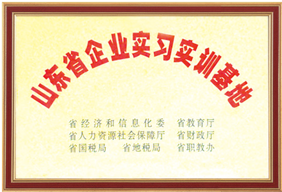 荣誉资质