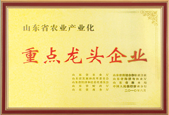 荣誉资质